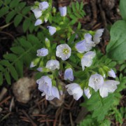 IMG4202.jpg
