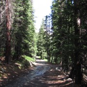 IMG4205.jpg