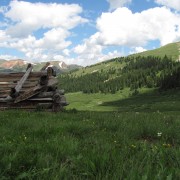 IMG4229.jpg