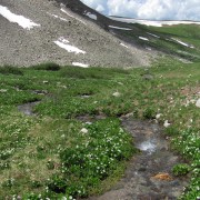 IMG4256.jpg