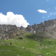 IMG4260.jpg