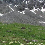 IMG4263.jpg
