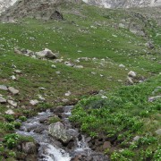 IMG4274.jpg
