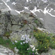 IMG4286.jpg