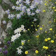IMG4290.jpg
