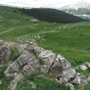 IMG4291.jpg