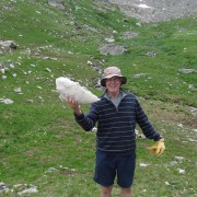 IMG4292.jpg
