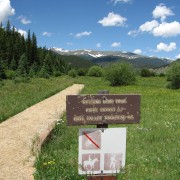 IMG4329.jpg