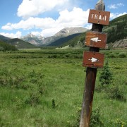 IMG4335.jpg