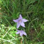 IMG4337.jpg