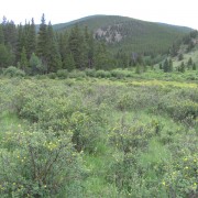 IMG4343.jpg