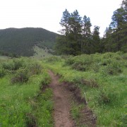 IMG4345.jpg