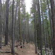 IMG4347.jpg