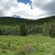 IMG4356.jpg