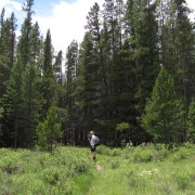 IMG4358.jpg