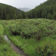 IMG4368.jpg