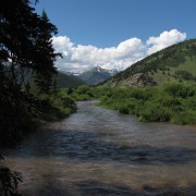 IMG4376.jpg
