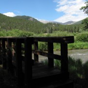 IMG4377.jpg