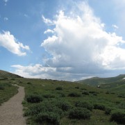 IMG4386.jpg