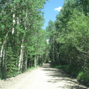 IMG4427.jpg