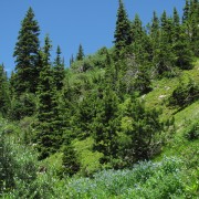 IMG4440.jpg