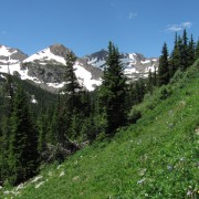 IMG4442.jpg