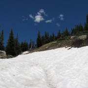 IMG4451.jpg