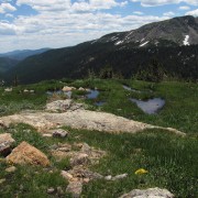 IMG4457.jpg