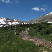 IMG4458.jpg
