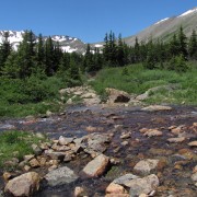 IMG4460.jpg