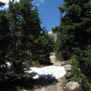 IMG4463.jpg