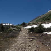IMG4471.jpg