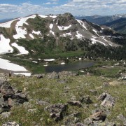 IMG4479.jpg