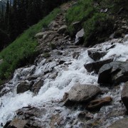 IMG4537.jpg