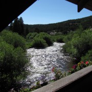 IMG4553.jpg