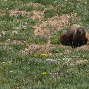 IMG4599.jpg