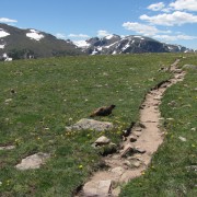 IMG4602.jpg