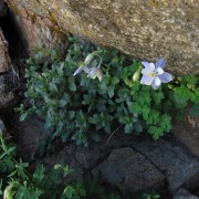 IMG4606.jpg