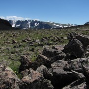 IMG4607.jpg
