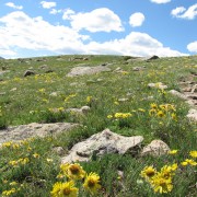IMG4629.jpg