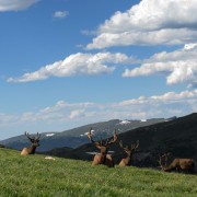 IMG4666.jpg