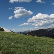 IMG4667.jpg