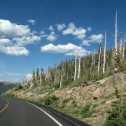IMG4673.jpg