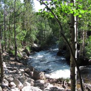 IMG4680.jpg