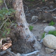 IMG4687.jpg
