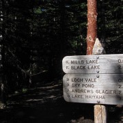 IMG4688.jpg