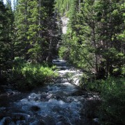 IMG4693.jpg
