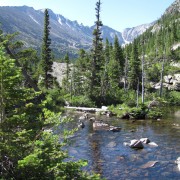 IMG4695.jpg