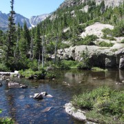 IMG4698.jpg