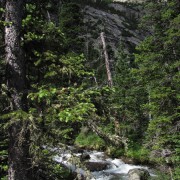 IMG4710.jpg